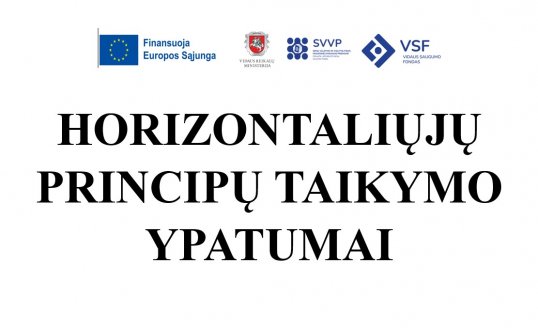 2024 M. GEGUŽĖS 29 DIENĄ KVIEČIAME Į RENGINĮ „HORIZONTALIŲJŲ PRINCIPŲ TAIKYMO YPATUMAI“ 